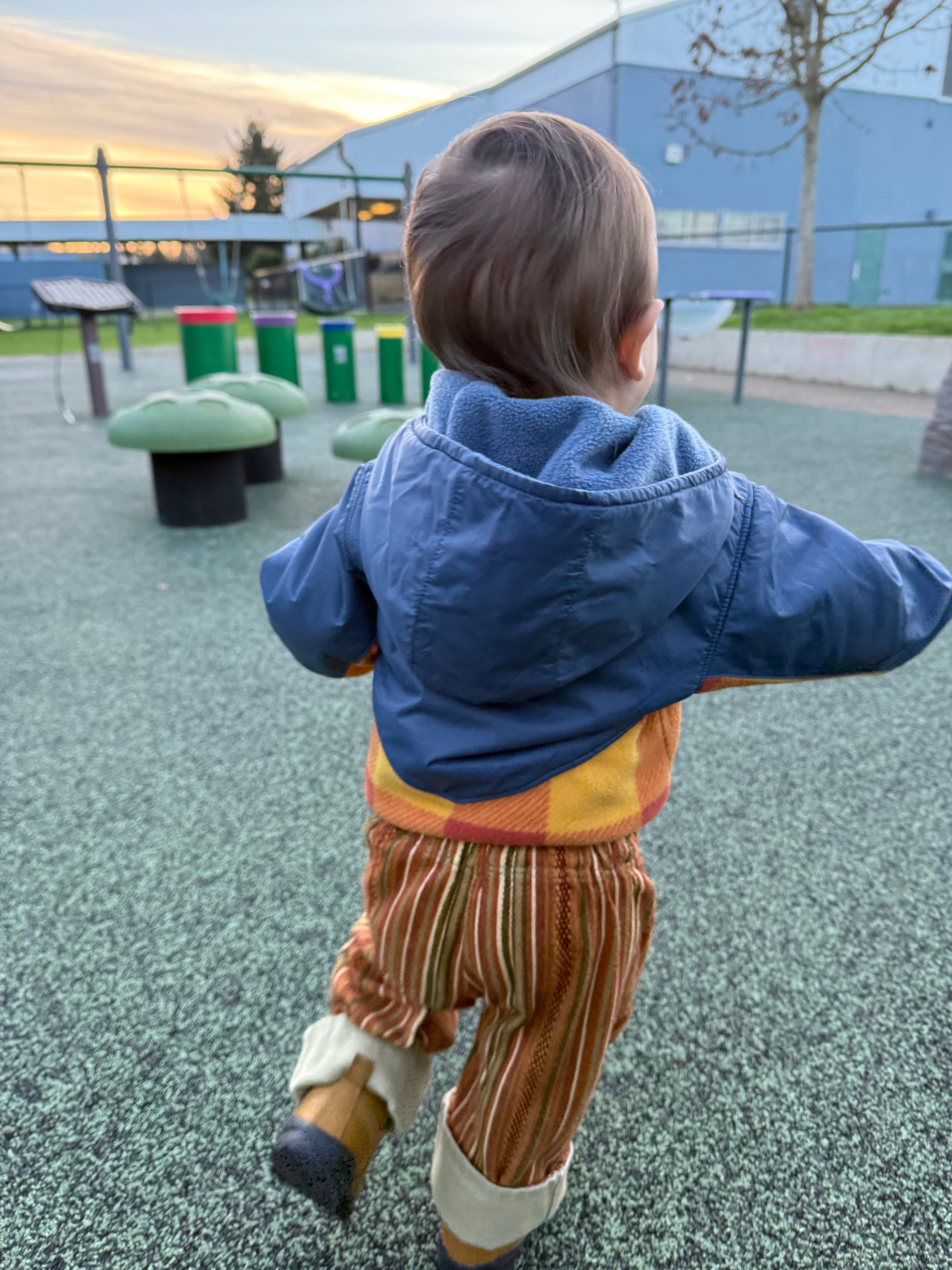 harvest stripe pants