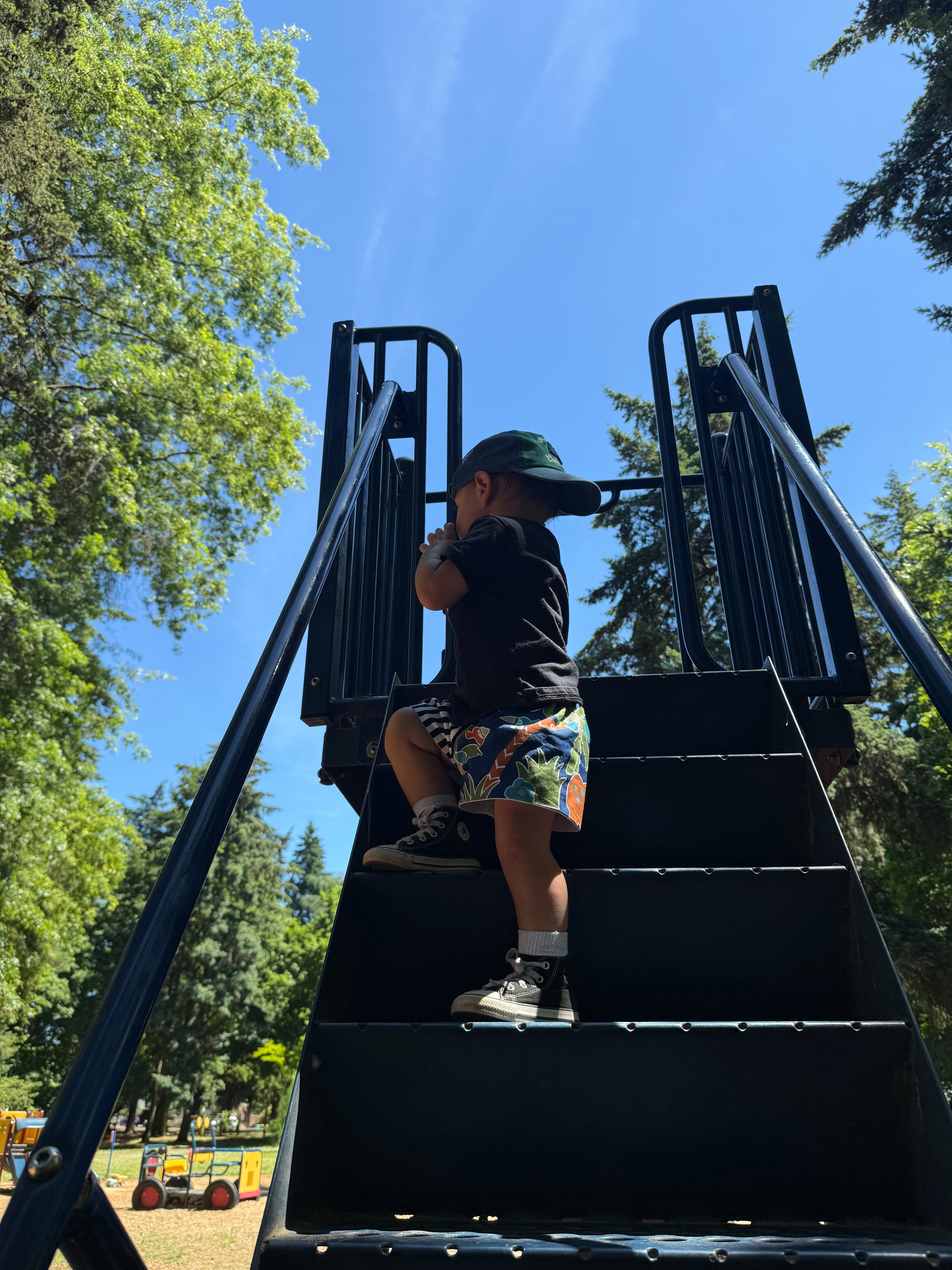 zoo day shorts