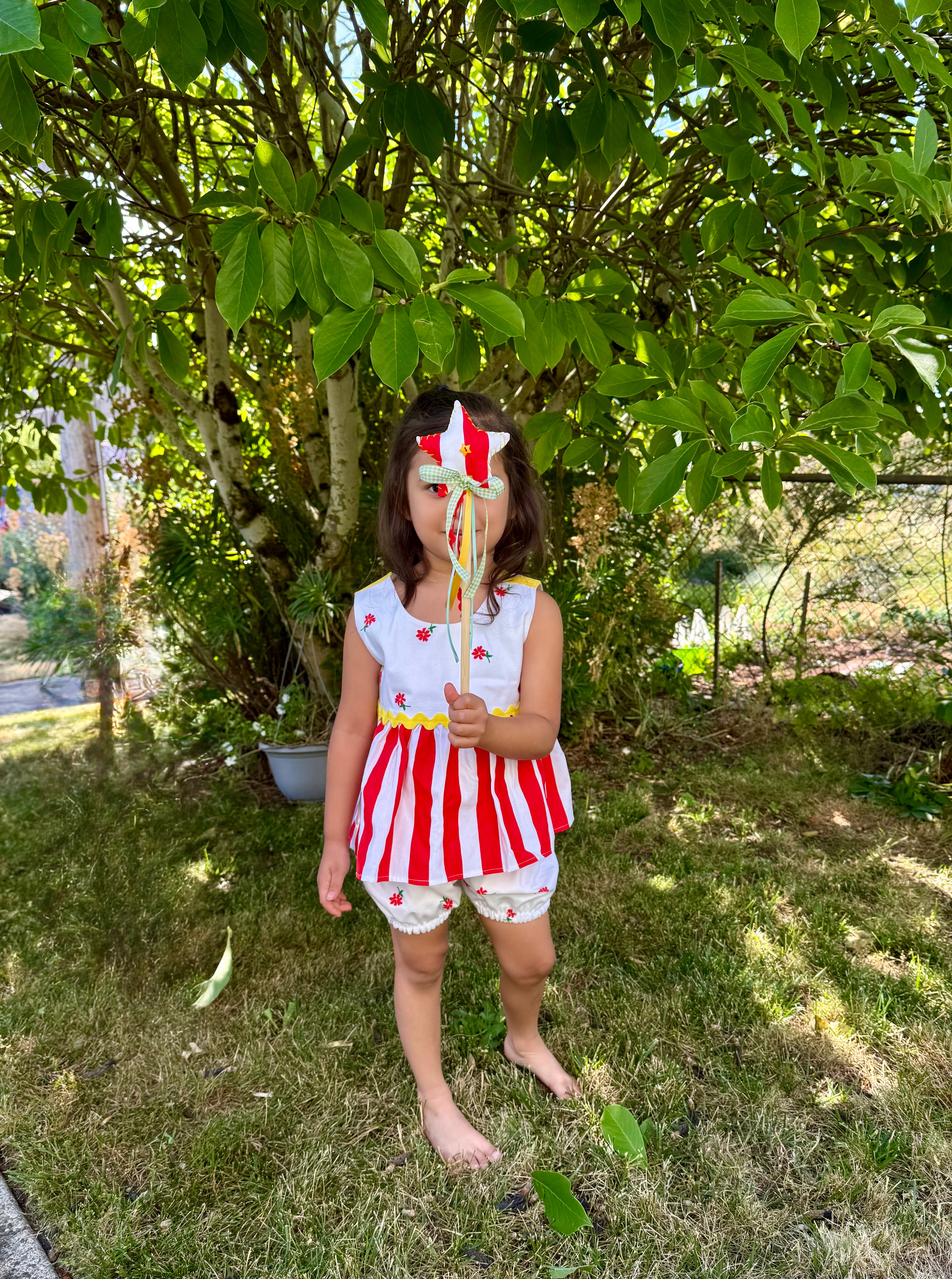 daisy carnival set